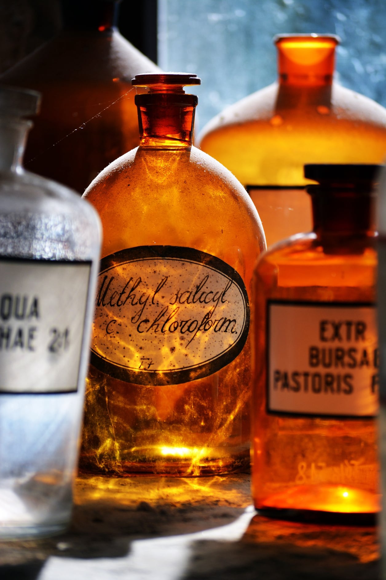 Mobirise Website Builder